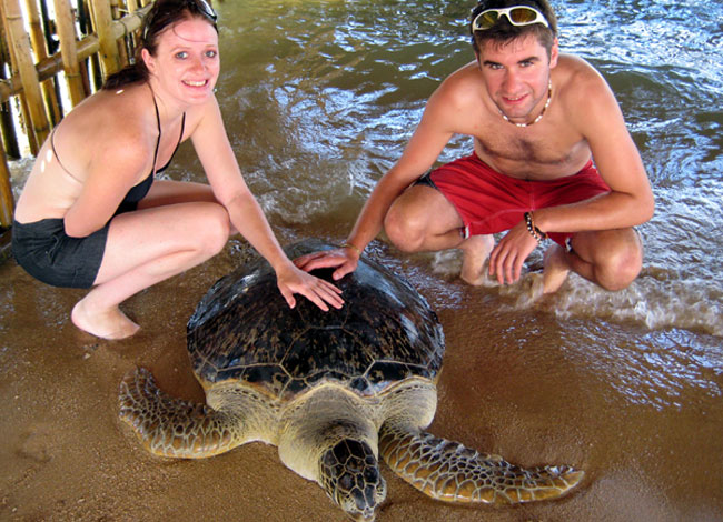 bali turtle island adventures