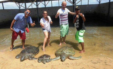 bali turtle island adventures