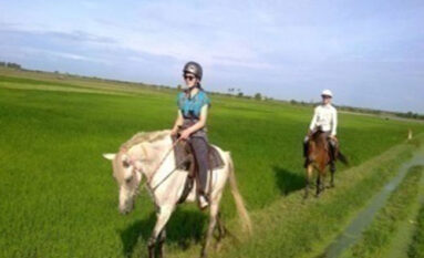 bali horse riding