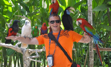 bali bird park tour