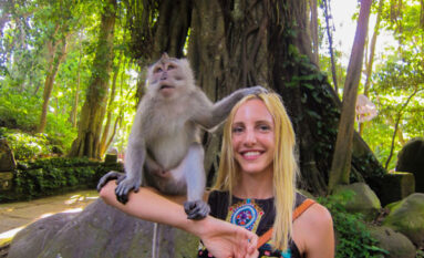 monkey forest ubud