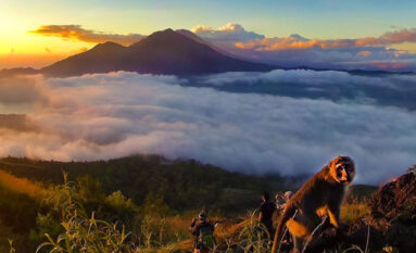 mount batur trekking tour