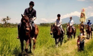 bali horse riding