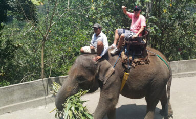 bali elphant riding tour - natas bali tur