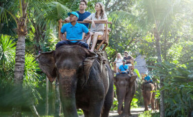 bali elphant riding tour - natas bali tur