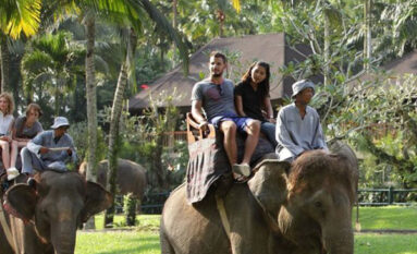 bali elphant riding tour - natas bali tur