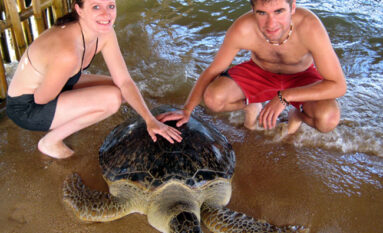 bali turtle island adventures