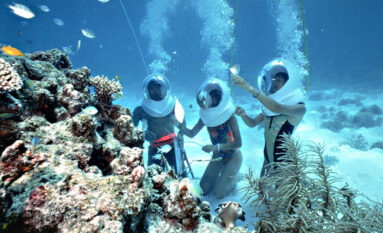 bali sea walker adventures