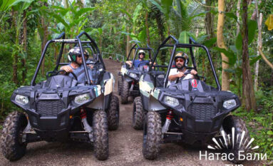 bali buggy tour