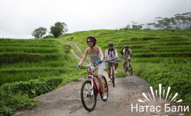 bali cycling tour