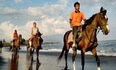 bali horse riding